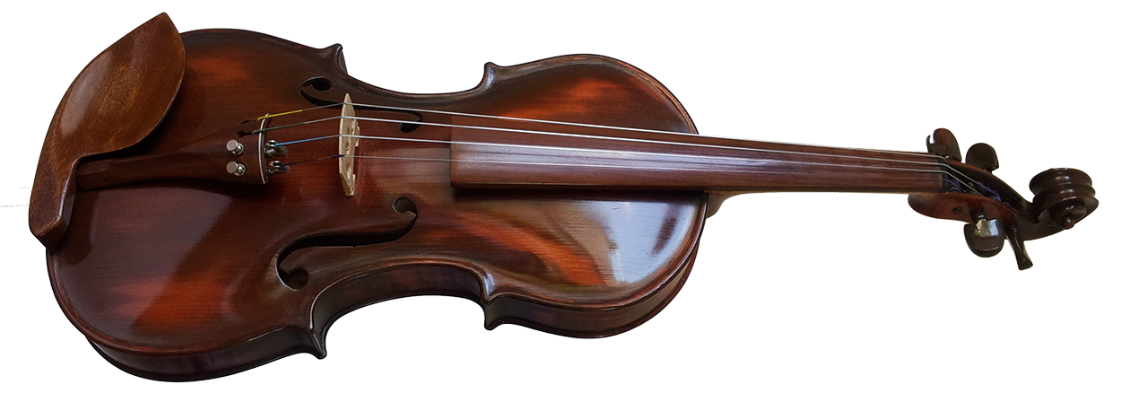 Violina 4